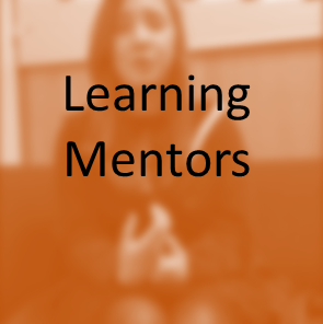 Learning Mentors Thumbnail